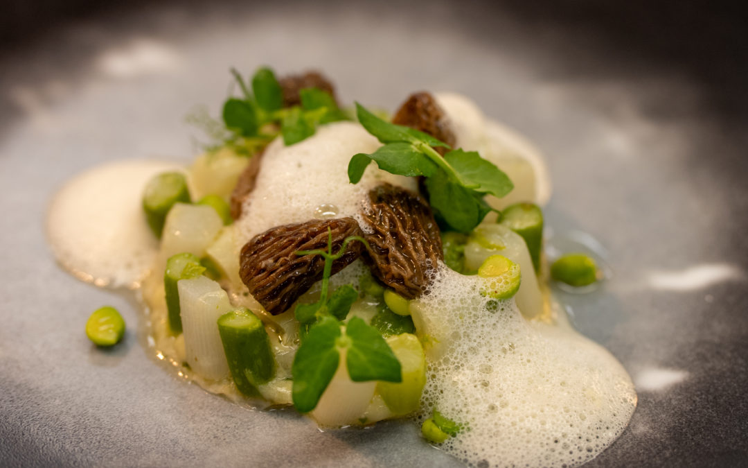 Fine tartelette de filo croustillante aux asperges, morilles et Vacherin Fribourgeois AOP, concassée de petits pois parfumée à l’huile de Caméline